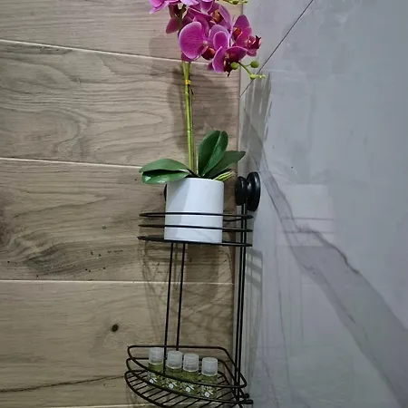 Roberta Pag -obiteljska Kuca Prizemnica Sa 2 Odvojena Apartmana Od Toga Jedan Moderan Luxuzniji, Pogled Na Sa Velikih Terasa, Dvosobni Pag Town