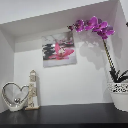 Roberta Pag -obiteljska Kuca Prizemnica Sa 2 Odvojena Apartmana Od Toga Jedan Moderan Luxuzniji, Pogled Na Sa Velikih Terasa, Dvosobni * Pag Town